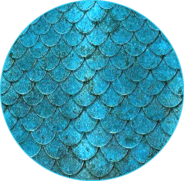 Mermaid Scale Png - Rainbowsky Sea Mermaid Mermaids Mini Portable Pocket Transparent PNG - 714x701 - Free Download on - Fish Transparent PNG Free Download