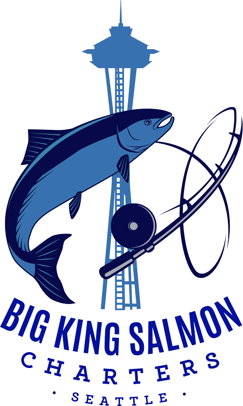 Illustration, HD Png Download - Fish PNG Illustration, HD Png Download - Fish Transparent PNG Free Download