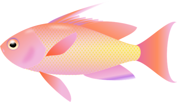 Graphics For Fishing Clip Art Transparent Background - Fish Clipart Transparent Background - Free Transparent PNG Clipart Images Download. - Fish Transparent PNG Free Download