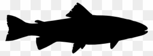 Fish Black Fishing Silhouette Trout - Got Fish? Shower Curtain - Free Transparent PNG Clipart Images Download. - Fish Transparent PNG Free Download