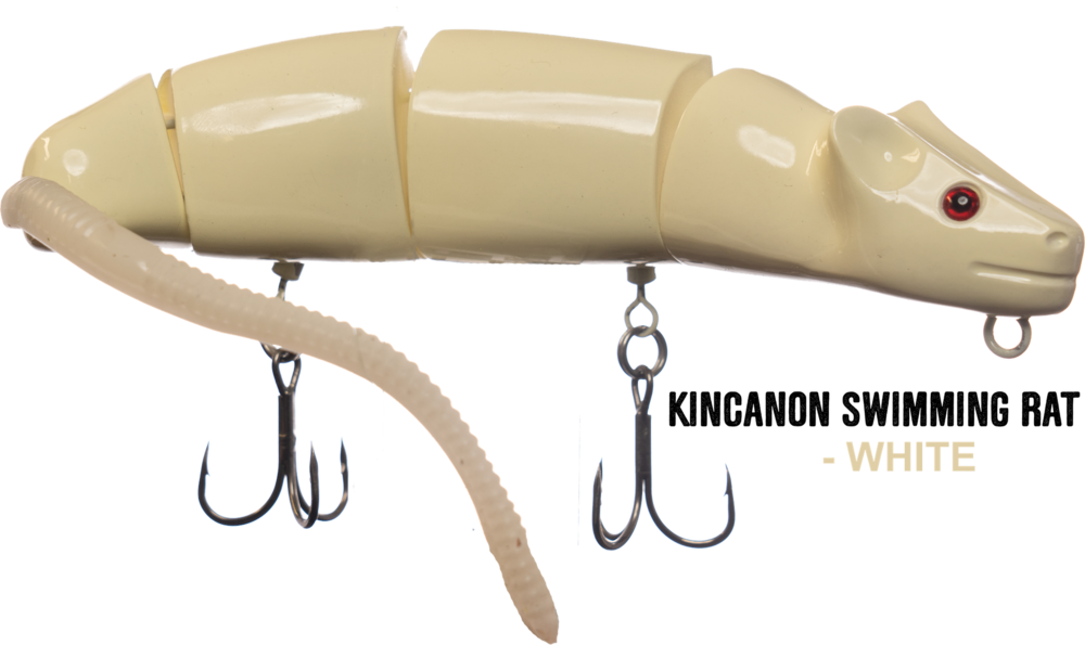 Chartruese White, HD Png Download - Fish Transparent PNG Free Download