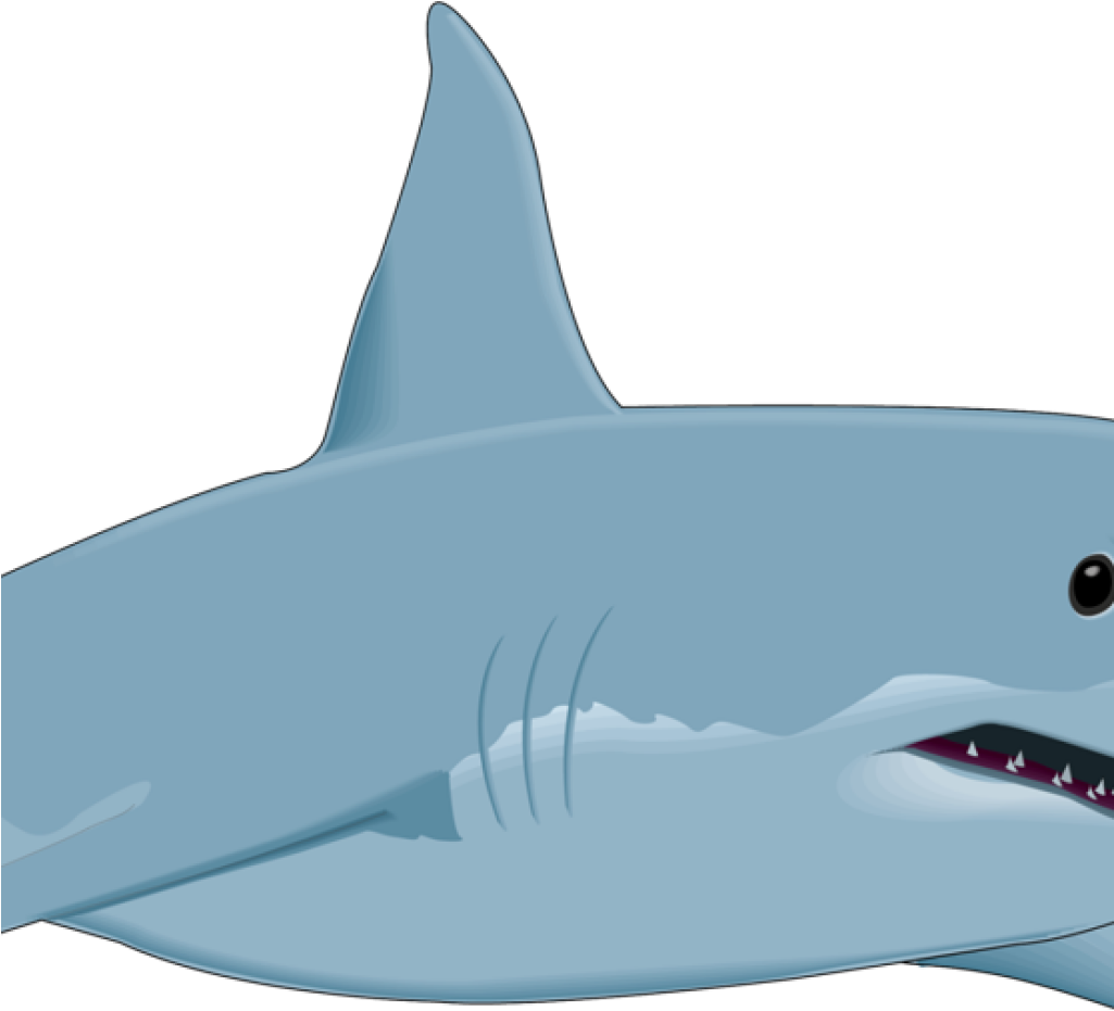 Free Shark Clipart Shark Clipart Shark Fish Clipart - Great White Shark Clip Art Transparent PNG - 1024x1024 - Free Download on - Fish Transparent PNG Free Download