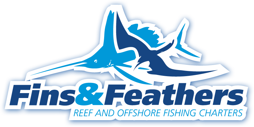 Fins & Feathers, Reef And Offshore Fishing Charters - Miami Fishing Charters Logos Transparent PNG - 822x412 - Free Download on - Fish Transparent PNG Free Download