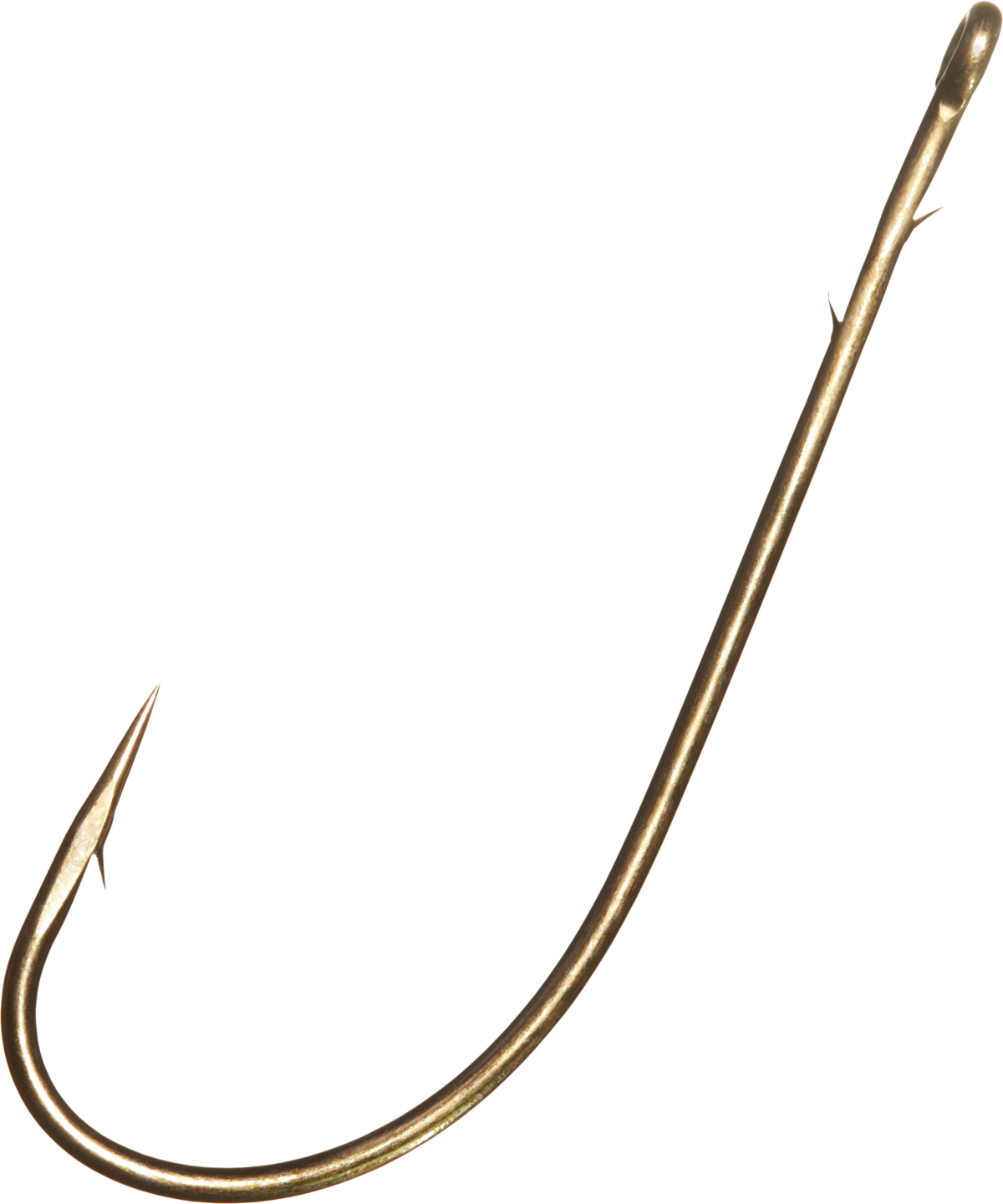 Fish Hook Png, Transparent - Fish Transparent PNG Free Download