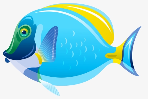 Saltwater Fish Clip Art - Transparent Background Fish Clipart, HD Png Download - Fish Transparent PNG Free Download