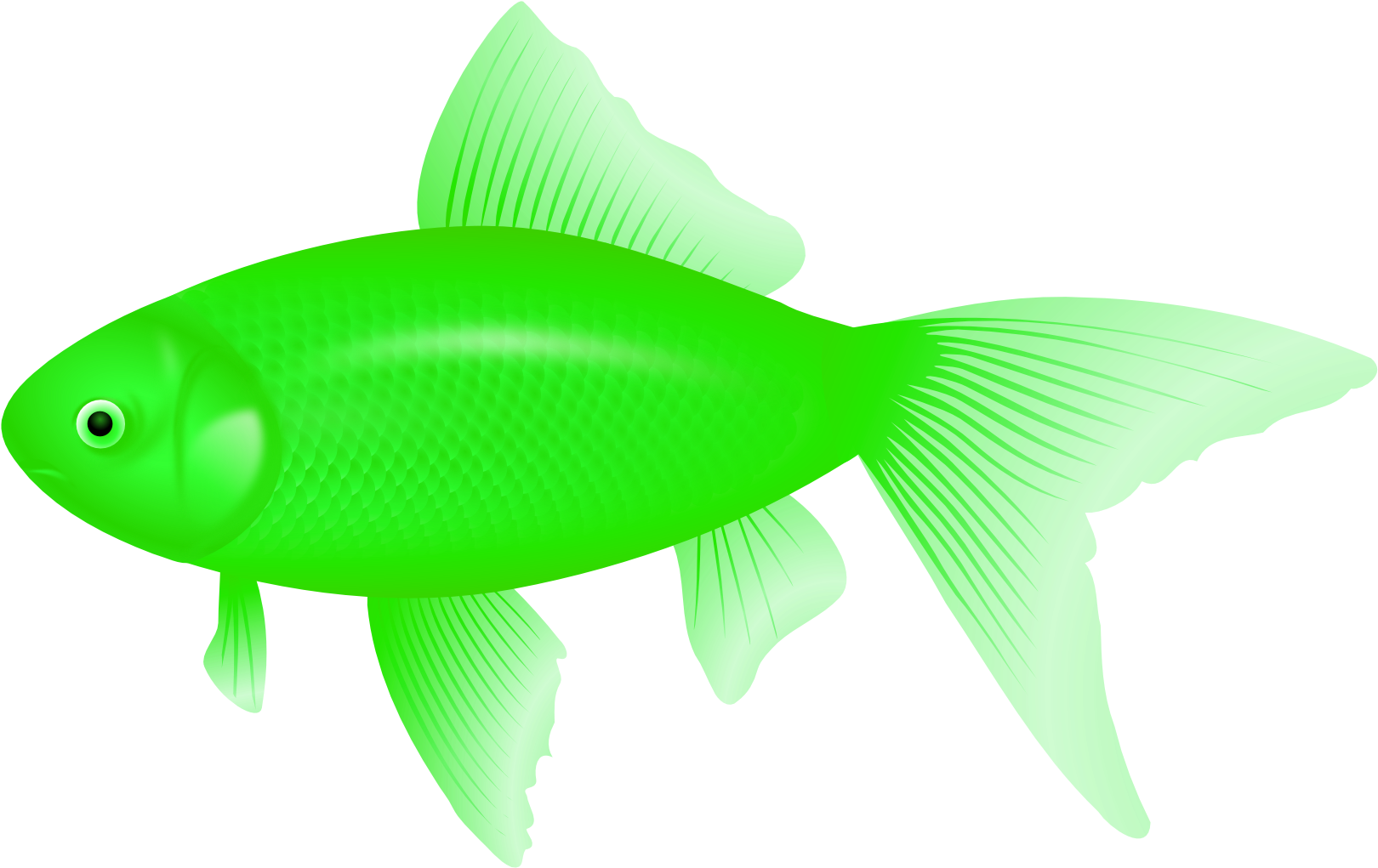 Clipart Of Fish, Ultra And Fish Of - Feeder Fish Transparent PNG - 1969x1307 - Free Download on - Fish Transparent PNG Free Download