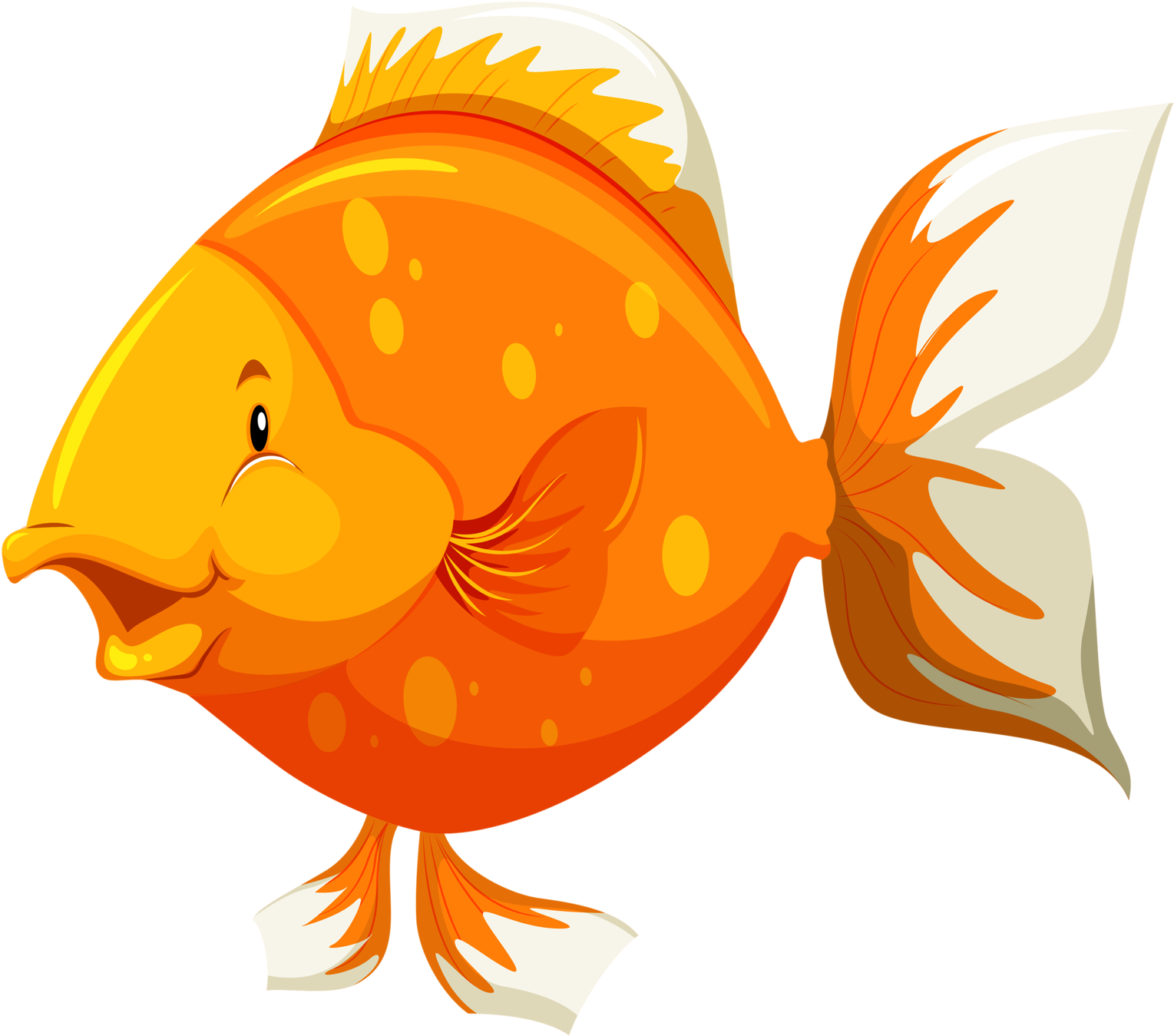 Яндекс - Фотки - Parts Of Fish - Free Transparent PNG Clipart Images Download. - Fish Transparent PNG Free Download