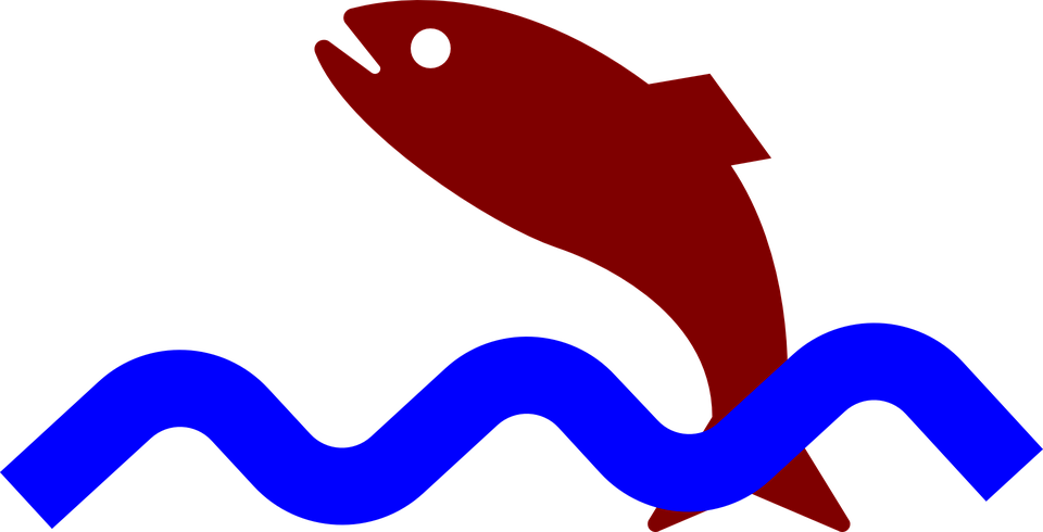 Jumping Fish Clip Art - Fish Jumping Out Of The Water Gif - Free Transparent PNG Clipart Images Download. - Fish Transparent PNG Free Download