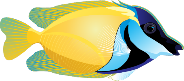 Amazing Clip Art Of Ocean Life - Tropical Fish Clip Art - Free Transparent PNG Clipart Images Download. - Fish Transparent PNG Free Download