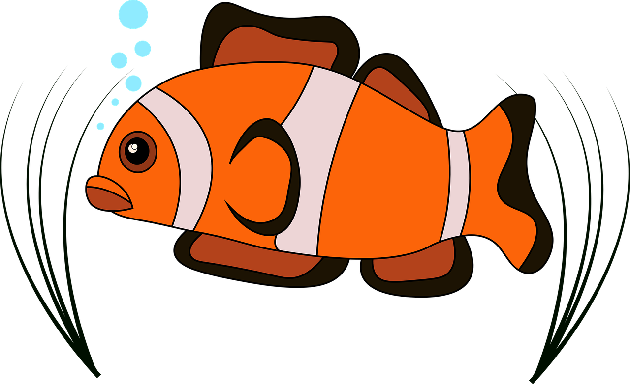 Clown Fish Vector Clown - Sketsa Gambar Ikan Berwarna Transparent PNG - 1280x782 - Free Download on - Fish Transparent PNG Free Download