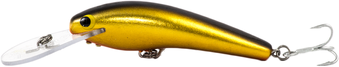 Fishing Hat Clipart - Fishing Lure Png Transparent PNG - 1200x800 - Free Download on - Fish Transparent PNG Free Download