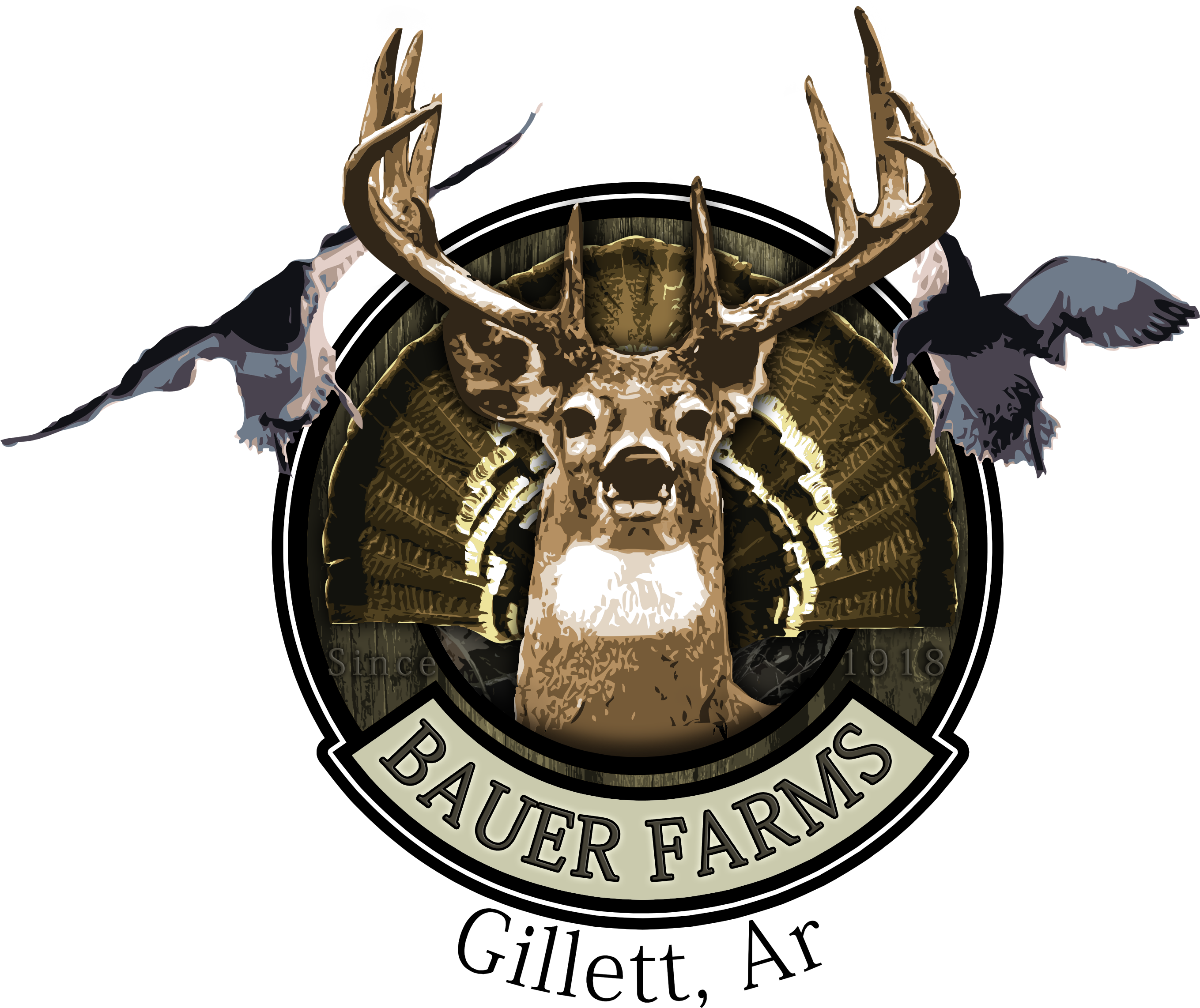 Some Of The Hunting 7 Fishing Logos That We Have Designed - Hunting And Fishing Logos Transparent PNG - 3156x2580 - Free Download on - Fish Transparent PNG Free Download