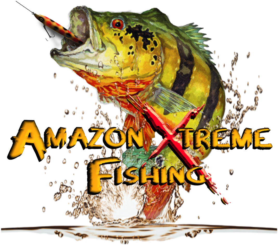 Download Pdf - Team Fishing Peacock Bass Transparent PNG - 1111x1110 - Free Download on - Fish Transparent PNG Free Download