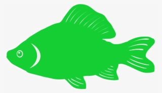 Silhouette Clipart , Png Download - Pomacentridae Transparent PNG - 1019x591 - Free Download on - Fish Transparent PNG Free Download