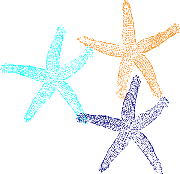 Starfish Svg Clip Arts 600 X 580 Px - Fish Clip Art - Free Transparent PNG Clipart Images Download. - Fish Transparent PNG Free Download