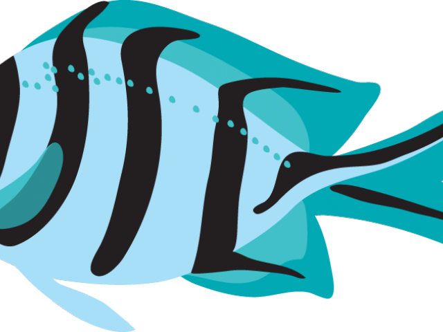 Tropical Fish Clipart Golden Fish - Clipart Fish In The Ocean Transparent PNG - 640x480 - Free Download on - Fish Transparent PNG Free Download