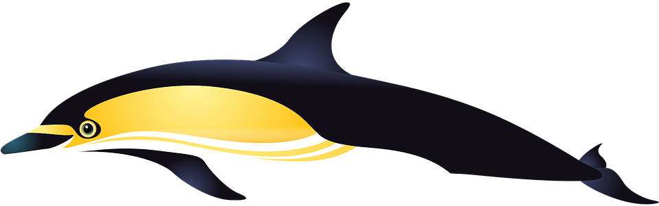 Dolphin Sea Fish Aquarium Tropical Fish Fishes - Warna Ikan Lumba Lumba Transparent PNG - 960x480 - Free Download on - Fish Transparent PNG Free Download