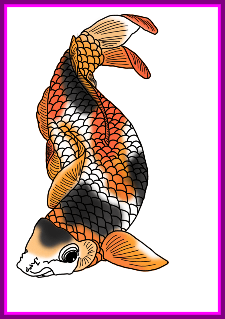The Best Colorful Koi Fish Drawings Pict Of Png Clipart - Koi Fish Png Transparent PNG - 786x1113 - Free Download on - Fish Transparent PNG Free Download