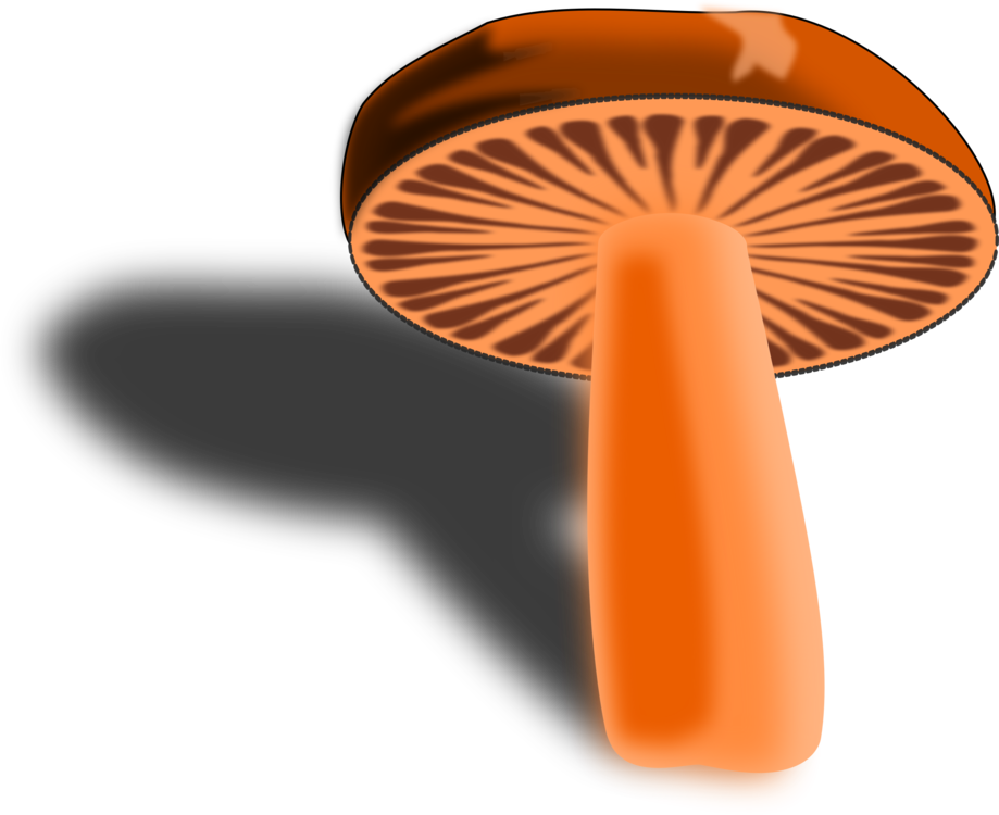 Computer Icons Mushroom Watercolor Painting Food Line - Clip Art Transparent PNG - 919x750 - Free Download on - Food Transparent PNG Free Download