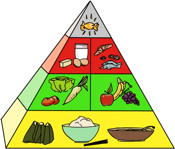 Transparent Pyramid Blank Food Jpg Freeuse - Health Transparent PNG - 655x569 - Free Download on - Food Transparent PNG Free Download