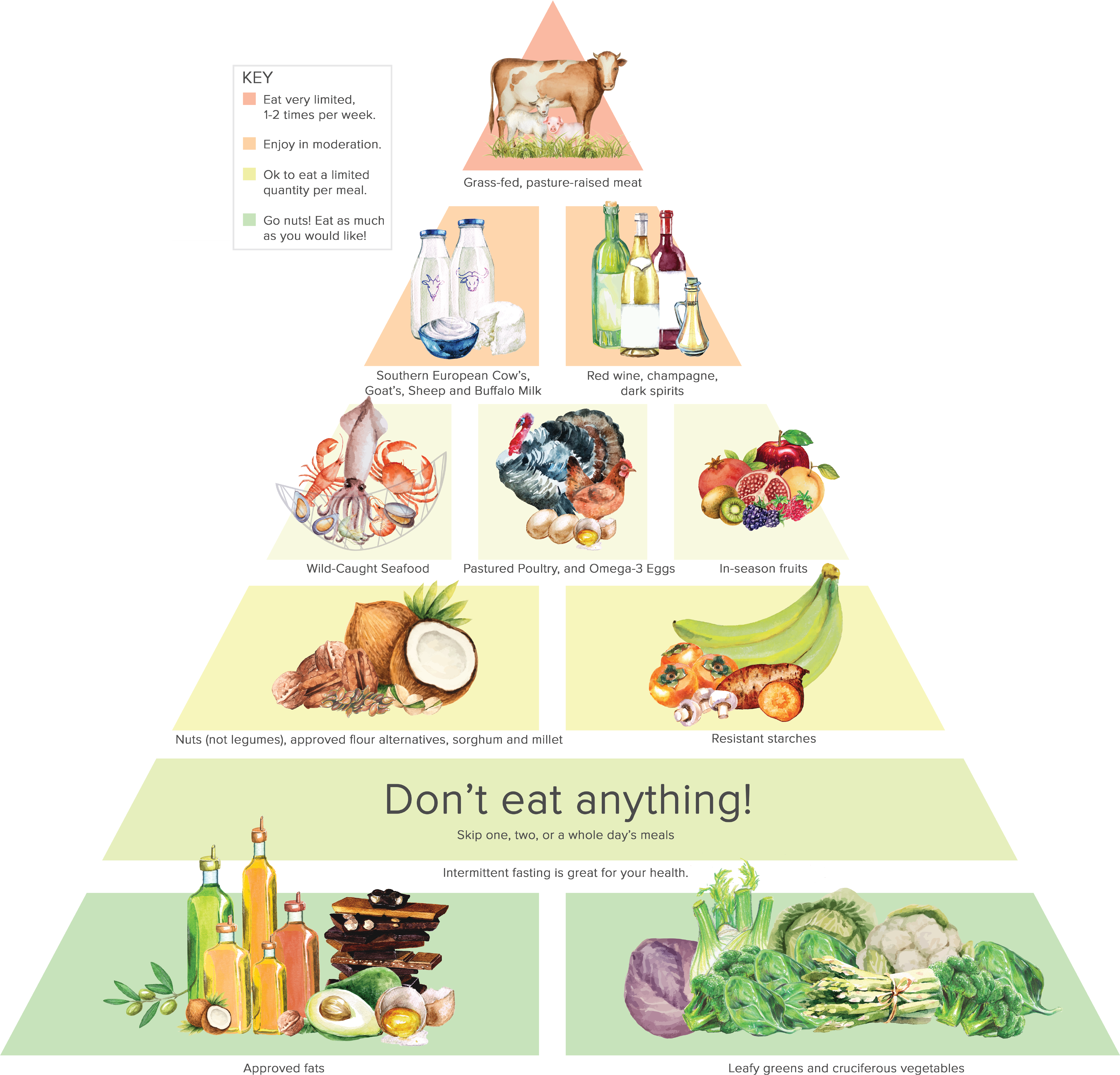 Steven Gundry Food Pyramid - Dr Gundry Food Pyramid Transparent PNG - 4855x4666 - Free Download on - Food Transparent PNG Free Download