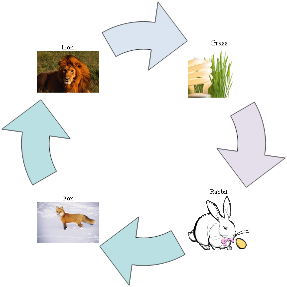 Diagram Of A Food Chain - Make Food Chain Transparent PNG - 576x576 - Free Download on - Food Transparent PNG Free Download