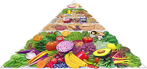 Food Pyramid - Oldways 4-week Vegetarian And Vegan Diet Menu Plan Transparent PNG - 507x250 - Free Download on - Food Transparent PNG Free Download