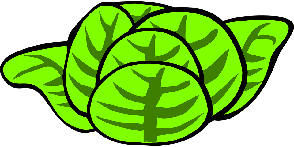 Salad Food Vegetables Lettuce Diet Fresh G - 50 Decadent Salad Recipes Ebook - Free Transparent PNG Clipart Images Download. - Food Transparent PNG Free Download