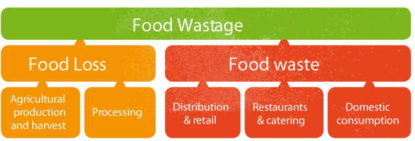 Food Wastage Definition - Food Waste Vs Food Loss Transparent PNG - 600x206 - Free Download on - Food Transparent PNG Free Download