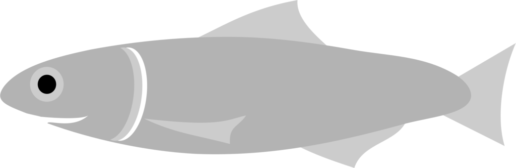 Fish European Anchovy Food Japanese Anchovy Transparent PNG - 1040x340 - Free Download on - Food Transparent PNG Free Download