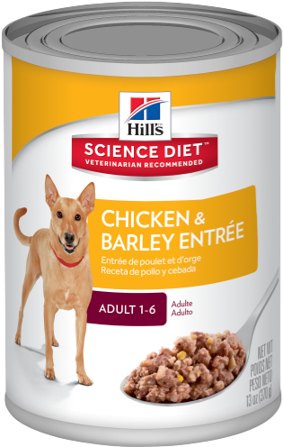 Sd Adult Chicken And Barley Entree Dog Food Canned - Science Diet Canned Dog Food Transparent PNG - 500x500 - Free Download on - Food Transparent PNG Free Download