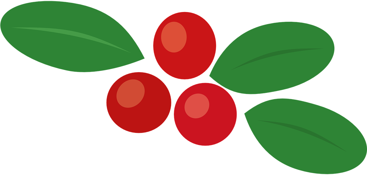 Cowberry Berry Autumn Leaf Food Png Image - Berry Vector Png Transparent PNG - 1281x611 - Free Download on - Food Transparent PNG Free Download