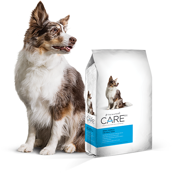 Prescription Renal Dog Food - Diamond Care Renal Dog Transparent PNG - 800x750 - Free Download on - Food Transparent PNG Free Download
