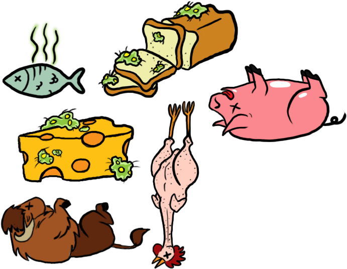 Food Spoilage Reminder Magnets By Chesney - Food - Free Transparent PNG Clipart Images Download. - Food Transparent PNG Free Download