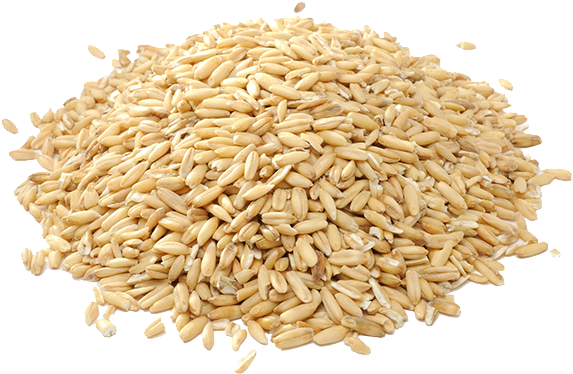 57285e5c22578 - Sattvic Foods Gluten Free Hulled Groats Oat, 500g - Free Transparent PNG Clipart Images Download. - Food Transparent PNG Free Download
