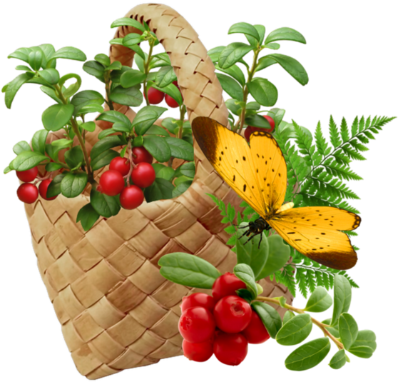 Fruit Et Legumes - Breast Cancer: Reduce Your Risk With Foods You Love - Free Transparent PNG Clipart Images Download. - Food Transparent PNG Free Download