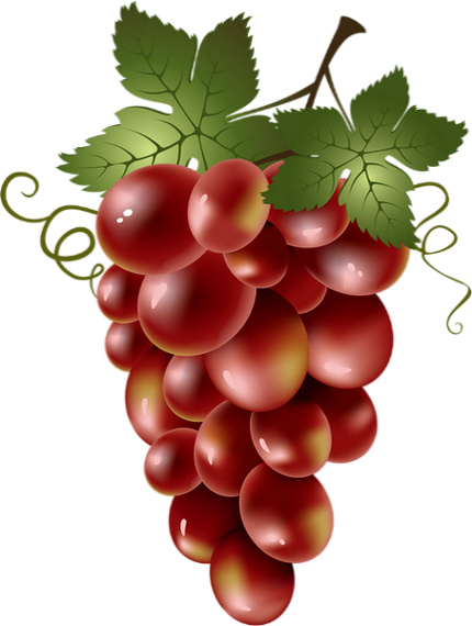 Explore Food Clipart, Fruit Clipart And More - Imagenes De Racimos De Uvas - Free Transparent PNG Clipart Images Download. - Food Transparent PNG Free Download