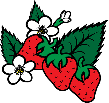 Strawberry Fragaria Berry Food Plants Flow - Strawberry Plant Clip Art - Free Transparent PNG Clipart Images Download. - Food Transparent PNG Free Download