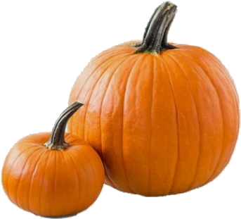 Moodboard Png Filler Nichememe Polyvore Pumpkin Hallowe - Fat Foods Transparent PNG - 429x415 - Free Download on - Food Transparent PNG Free Download