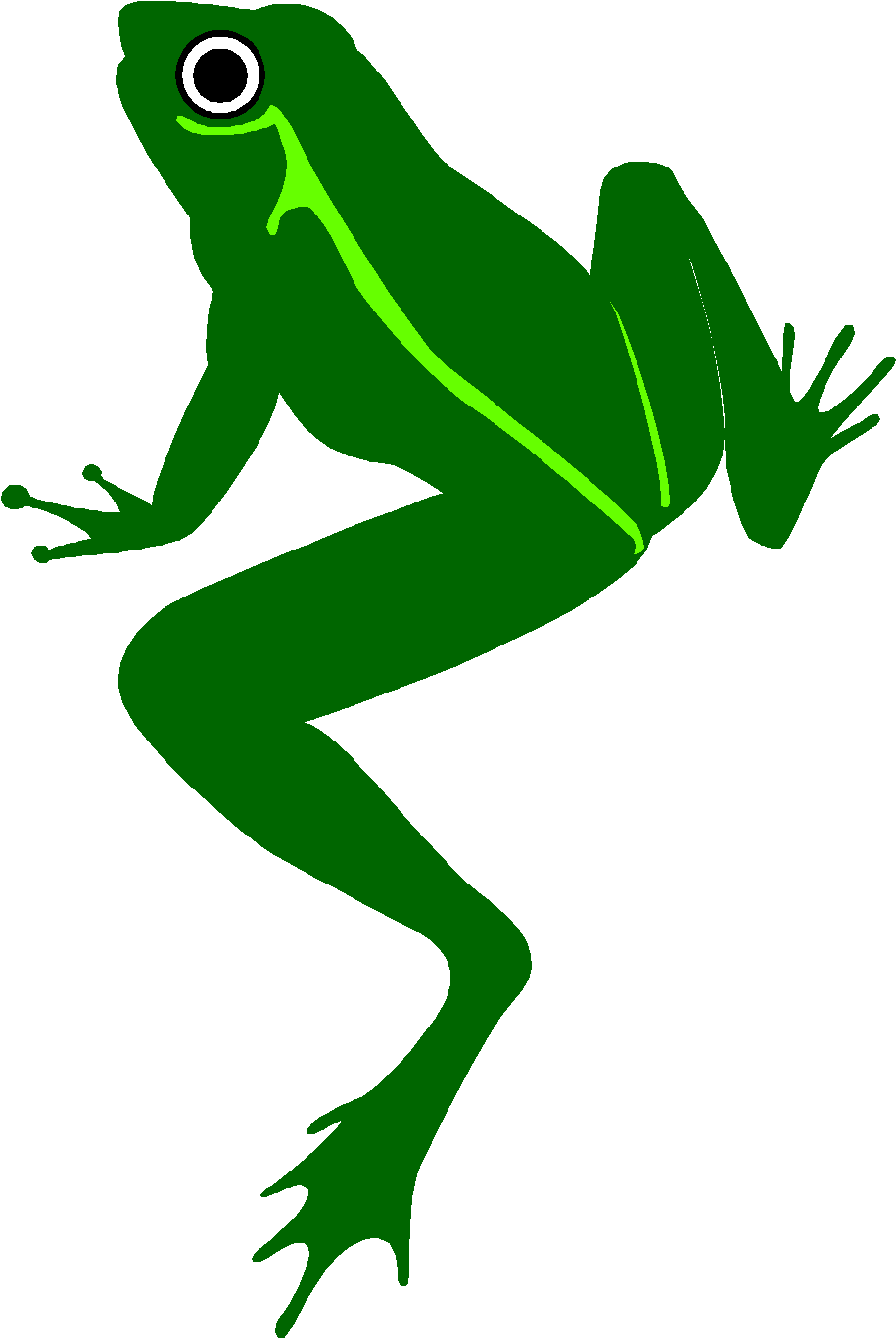 Frog Plague Of Egypt Clipart - Whooping Crane Food Chain - Free Transparent PNG Clipart Images Download. - Food Transparent PNG Free Download