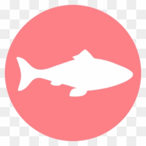 Unlike Most Pet Foods, Halo Uses Real Whole Meat, Poultry, - Whale - Free Transparent PNG Clipart Images Download. - Food Transparent PNG Free Download