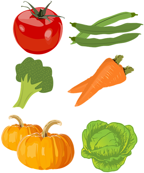 Food Cliparts Vegetables 6, Buy Clip Art - Food Group - Free Transparent PNG Clipart Images Download. - Food Transparent PNG Free Download
