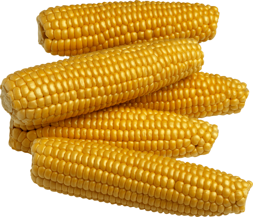 Free Png Corn Png Images Transparent - Food Crops In Nigeria Transparent PNG - 850x731 - Free Download on - Food Transparent PNG Free Download