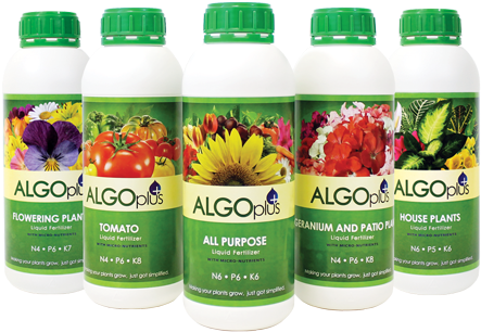 Algoplus Is The Best Wholesale Plant Food Available Transparent PNG - 450x313 - Free Download on - Food Transparent PNG Free Download