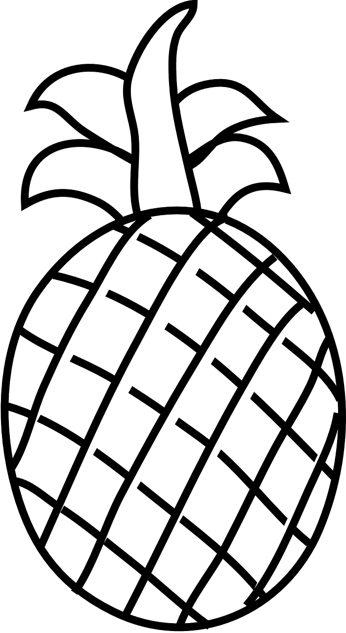 Pineapple Fruit Food - Fruits Clipart Black And White Transparent PNG - 700x1280 - Free Download on - Food Transparent PNG Free Download