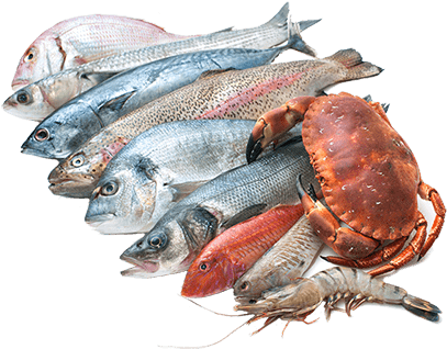 Seafood - Sea Foods Images Png Transparent PNG - 500x334 - Free Download on - Food Transparent PNG Free Download
