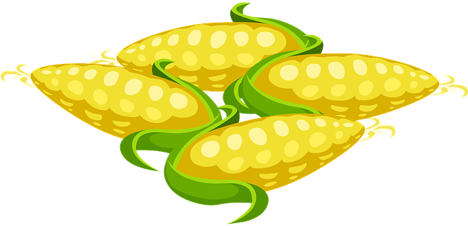 Corn, Sweet, Food, Nutrition, Vegetarian - Clip Art Food - Free Transparent PNG Clipart Images Download. - Food Transparent PNG Free Download
