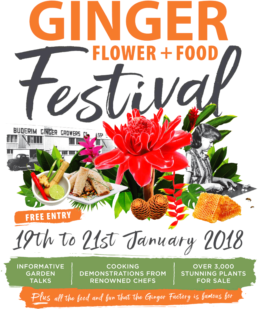 Ginger Flower Food Festival Logo - Flyer Transparent PNG - 1920x1080 - Free Download on - Food Transparent PNG Free Download
