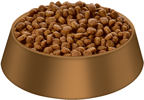 Hill's® Science Diet® Adult Advanced Fitness Small - Dog Transparent PNG - 500x500 - Free Download on - Food Transparent PNG Free Download