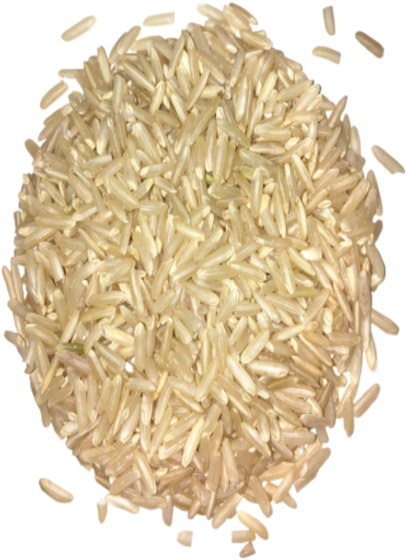 Brown Rice Png Pic - Food To Live Organic Brown Basmati Rice Transparent PNG - 500x682 - Free Download on - Food Transparent PNG Free Download